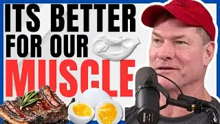 Carnivore Doctor Explains Why Carnivore Diet Builds More Muscle & Performance than Carbs