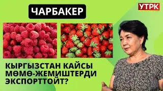 Кыргызстан кайсы мөмө-жемиштерди экспорттойт? // Чарбакер