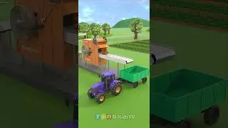 Tractor Trailer Trucks for Kids Harvesting Bell Pepper | TinoKidsTV #shorts