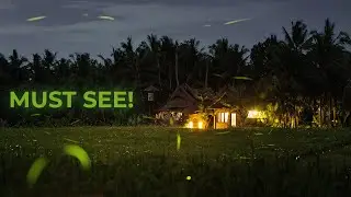 Photographing FIREFLIES in Ubud, Bali (Fujifilm X100V)