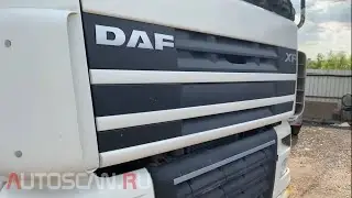 IDUTEX TS810Pro: Диагностика DAF XF105 2013