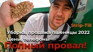 Опа! Эгилопс. Печальная урожайность пшеницы по Strip-till. Продаем Пшеницу урожай 2022. Цены