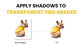 Apply Shadows To Transparent PNG Images With CSS | Sandeep Tutorial 👨‍🏫📓