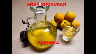 АЙВА ЯПОНСКАЯ. Наливка из японской айвы.