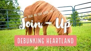 Debunking Heartland | Join-Up with My 5yr Miniature Horse!