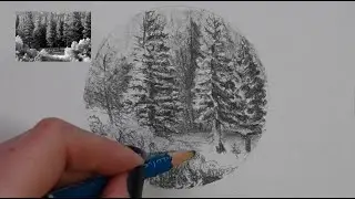 How to Draw Trees | Creating Textures with Pencil & Charcoal, Part 2