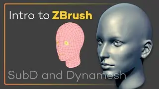 Intro to ZBrush 007 - Subdivisions and Dynamesh! Get the most out of your geo while you create!!