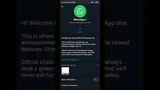 WhatsApp New Update | WhatsApp Official Chat | WhatsApp New Update 2023