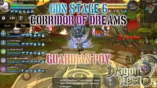 GDN Stage 6-Hell Guardian POV Dragon Nest M