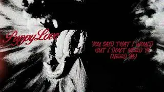 Jason Price - Puppy Love (Lyric Video 2024)