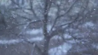 Snow winter background slow motion