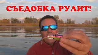 КОГДА КУСОК ПРИМАНКИ РАБОТАЕТ ЛУЧШЕ ЦЕЛОЙ ПРИМАНКИ!