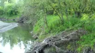 Окрестности Камня на оби. Природа на Источном.  Наша р  Обь.