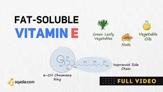 Fat-Soluble Vitamin E Biochemistry | Tocopherols and Tocotrienols | Lipid Peroxidation