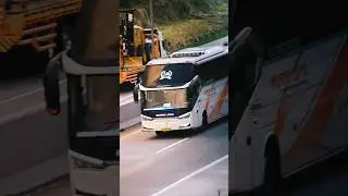 Bus Murni Jaya 246 #busholic #busindonesia #publictransport #busmaniacomunity #bus #busviral