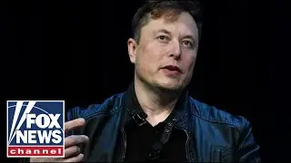 Elon Musk: We're in deep trouble if Trump loses