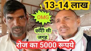 Layer Poultry  Farming In India | How To Start Layer Poultry Farming