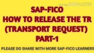 SAP-FICO TUTORIAL FOR BEGINNERS|PART-1 How To Release The TR in SAP | SAPFICO REALTIME TRAINING|SAP