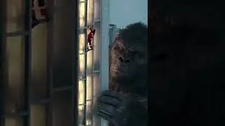 Jared vs Kong