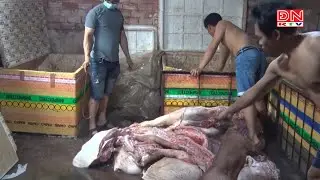 Huyện Thống Nhất: Xử phạt 01 cơ sở giết mổ heo lậu ở xã Gia Kiệm 08 triệu đồng