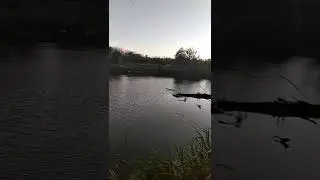 Почему в Польше нету рибы, нету риболовных мест в Польше