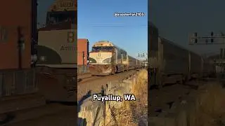 Fast Amtrak Train in Puyallup, Washington #train #railway #amtrak #fasttrains #trainshorts