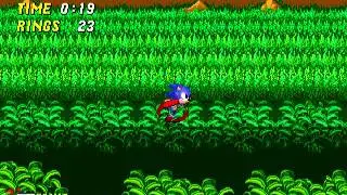 Sonic 2 - Aquatic Ruin Zone Act 1 - 20 seconds