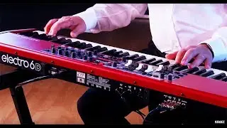 Nord Electro 6D All Playing, No Talking!