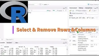 Data Filtering in R using Indexes/Subsets (Detailed)