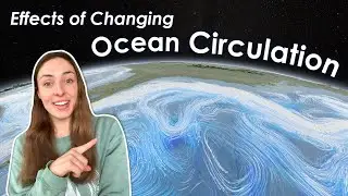 How Ocean Circulation Affects Global Climate & Vice Versa | GEO GIRL