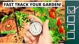 Use This Strategy to Feed Your Family Faster! | Seed Haul 2021 | Guten Yardening Garden Planning