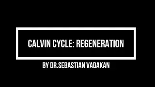 Calvin Cycle  Regeneration