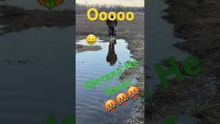Утону или Нет…😳ЖЕЛЕЗО СПАСЕНО🤣🤣🤣 