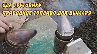 пчеловодство, ОДА трутовику природное топливо для дымаря