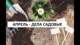 Апрель -  дела садовые)))