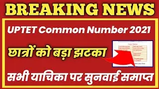 UPTET Common Number High Court News//UPTET News Today/UPTET Latest News