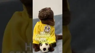 ОБЗОР МАТЧА ТЮМЕНЬ - КРАСНОДАР | ПУТЬ РЕГИОНОВ