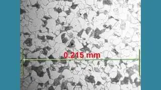 Grain Number Analysis
