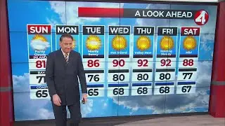 San Francisco Bay Area Forecast