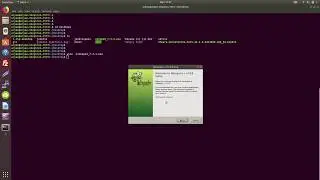 install notepad ++ on ubuntu 18.04