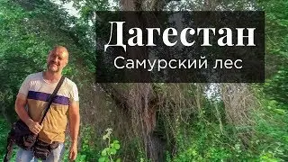 #Дагестан