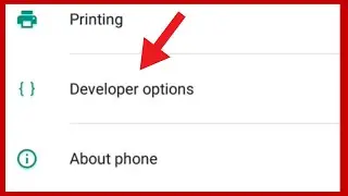 How to Enable and Disable Developer Options in Android | Enable/Disable Developer Option on Android
