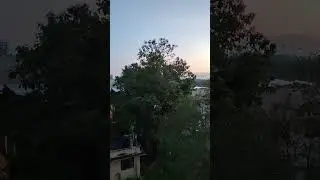 СПАТЬ НЕ ДАЮТ ЖИВЁМ КАК В ДЖУНГЛЯХ 