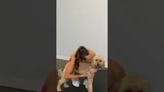 When you have to pause your workout to comfort your dog 😂 #bloopers