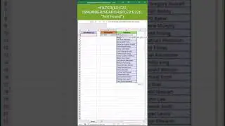 Create a Searchable Drop Down List with Dynamic Data Validation using the FILTER Formula 