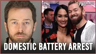 Nikki Bella's Husband, Artem Chigvintsev, Arrested For Domestic Battery