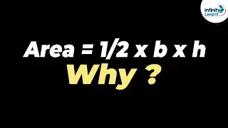 Why is the Area of a Triangle 1/2 X b X h? | One Minute Bites | Dont Memorise