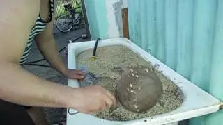 Солод для пива от А до Я !!!