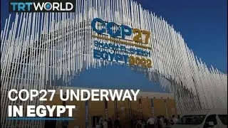 COP27 under way in Egypt