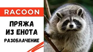 Пряжа из енота? Пух норки? Разоблачение😱